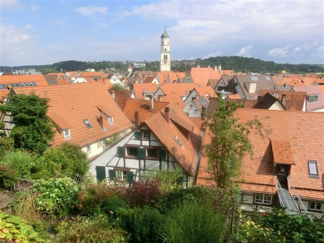 Bild