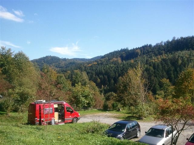 Bild
