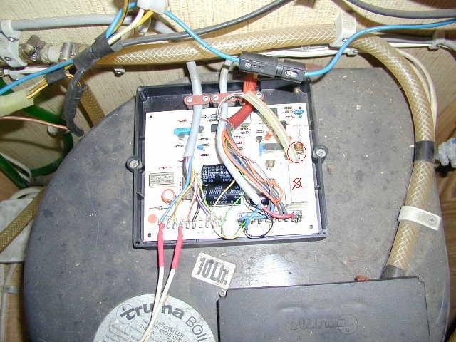 Bild