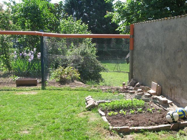 Garten "sichern" Erfahrung gesucht! Katzen Forum