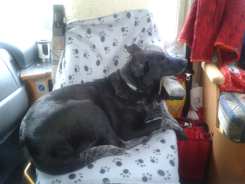 Wo schläft euer Wuff ? Wohnmobil Forum Seite 2