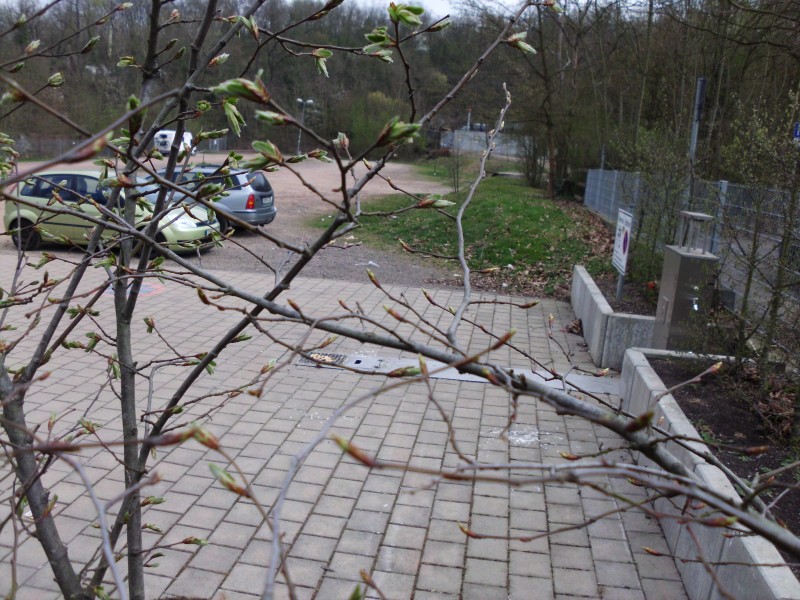 Saarbrücken strassenstrich Locations Strassenstrich