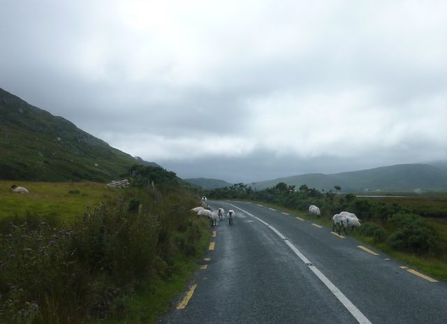 GB Fähre und Irlandfähre Wohnmobil Forum Seite 1