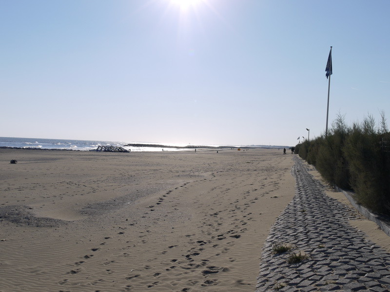 ItalienCampingplatz am Meer mit Hundestrand Wohnmobil Forum Seite 1