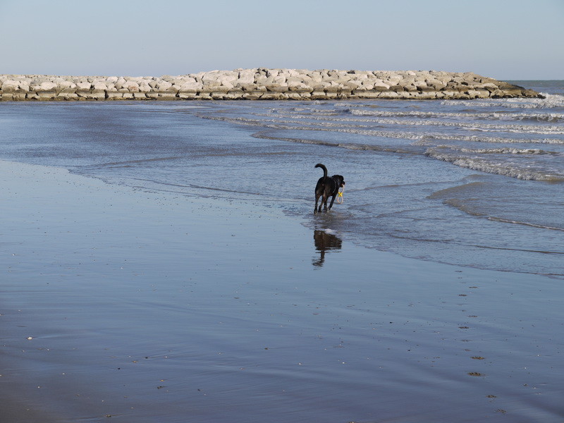ItalienCampingplatz am Meer mit Hundestrand Wohnmobil Forum Seite 1