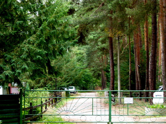 Reisebericht Südpolen von Görlitz bis Tarnow - Wohnmobil Forum Seite 2